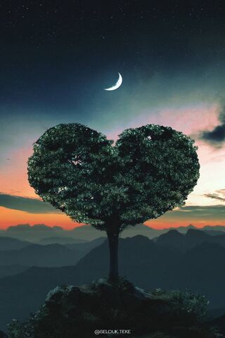 Heartfelt Serenity: The Ask Agaci Love Tree 🌳❤️