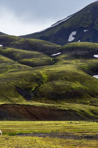 Enchanted Green Hills of Nature 🌿✨