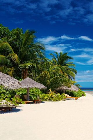 Phoneky Tropical Hd خلفيات