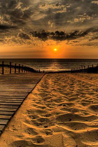 Beach Landscape