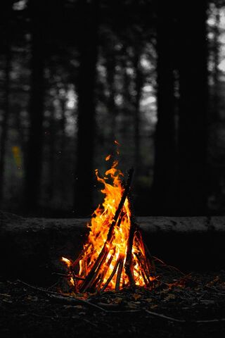 Embers of Serenity: A Night by the Fire