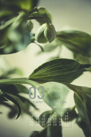 Nature's Awakening: The Green March 🌱