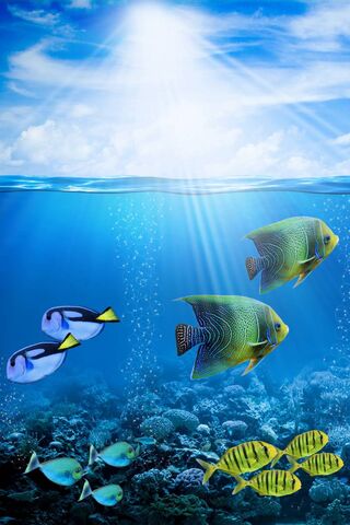 Beneath the Waves: A Co..