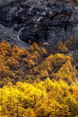 Golden Peaks: Nature's Autumn Canvas 🌄🍂