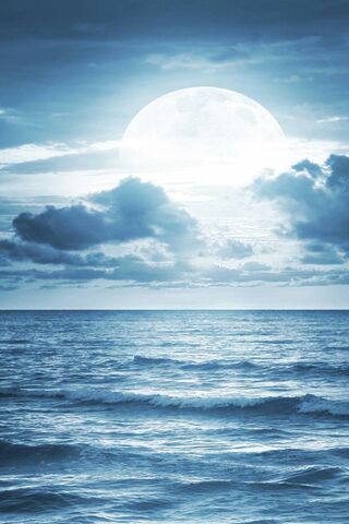 Moonlit Serenity 🌕✨