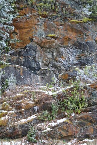 Nature's Canvas: The Cliffside Serenity