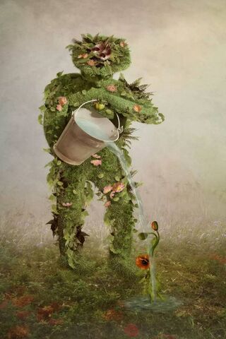 Nurturing Nature's Embrace 🌱🌼