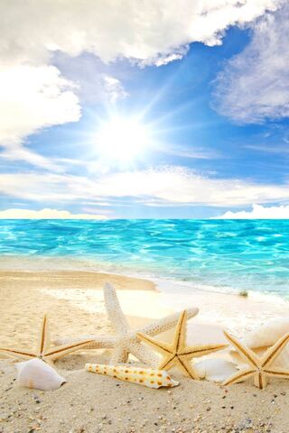 Sun-Kissed Shores: A Tr..