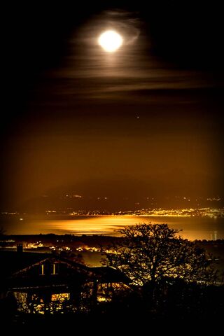 Lunar Glow Over Tranquil Waters 🌕✨