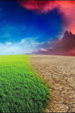 Nature's Duality: The Half and Half Landscape 🌿🌍
