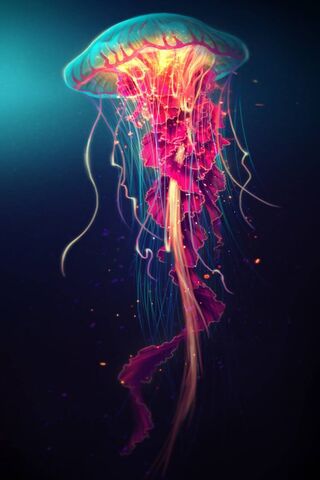 Jellyfish Wallpaper - Download to your mobile from PHONEKY