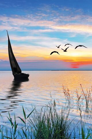 Serenity at Dusk 🌅