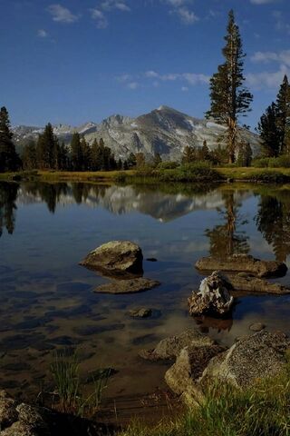 Serenity at Lake Reflection 🌊🏞️