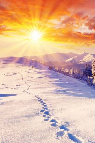 Sunshine Bliss: A Winter's Embrace ☀️❄️
