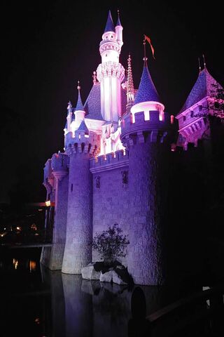 Enchanting Nights at Disneyland 🌙🏰