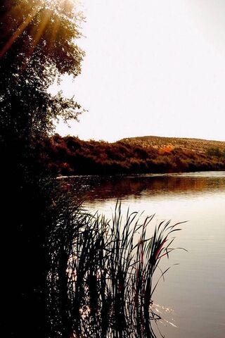 Serenity at Lake's Edge 🌅