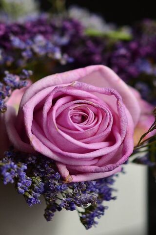 Whispers of Elegance: T..