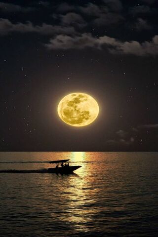 Moonlit Adventure 🌕🚤