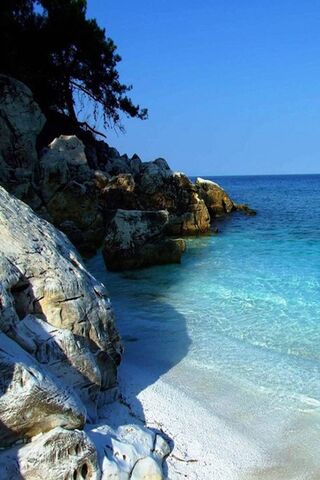 Serenity by the Shore: A Glimpse of Paradise Sea 🌊✨