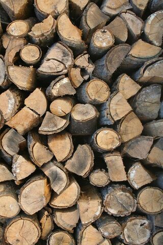 Nature's Stacked Treasures: Logs Ready for the Fire