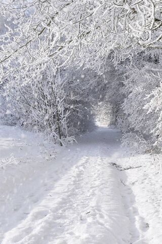 Caminho nevado