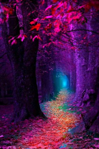 Mystical Depths of the ..