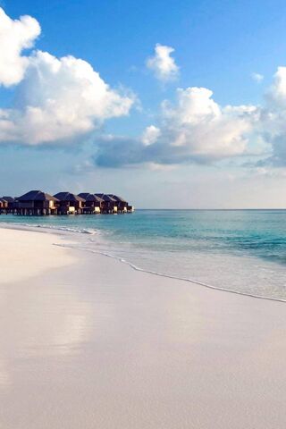 Tranquil Shores: A Slice of Paradise 🌊🏖️