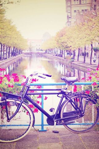 Charming Canal Escape 🚲🌸