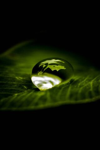 Nature's Gem: A Waterdrop's Embrace 🌿💧