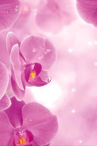 Enchanted Blossoms in a Dreamy Orchard 🌸✨