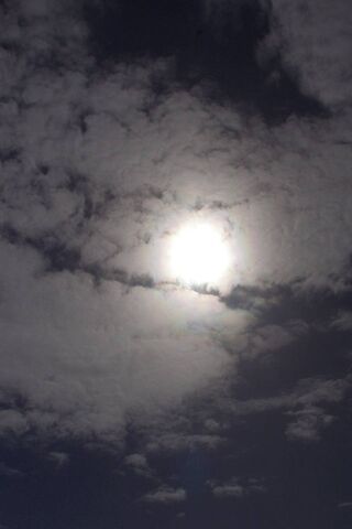 Golden Horizon: A Sunset's Embrace 🌅