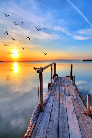 Serene Evening Glow 🌅