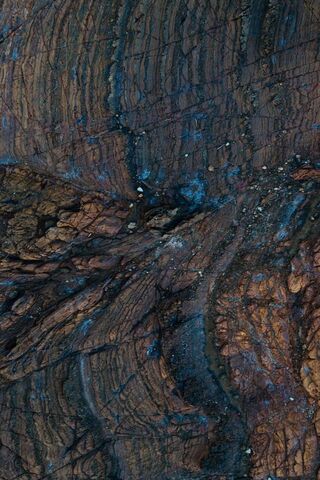 Nature's Canvas: The Beauty of Wood Grain 🌳✨
