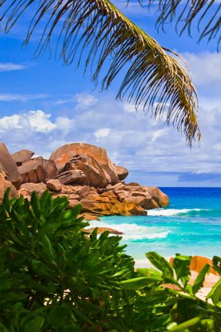 Paradise Found: A Tropical Escape 🌴🌊
