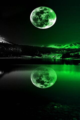 Emerald Moonlit Reflections 🌙🍀