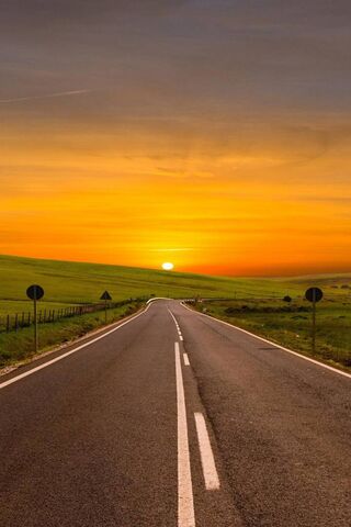 Chasing the Golden Hori..