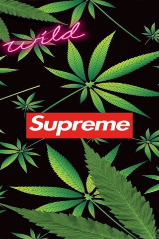 Chillin' with the Supreme Vibes 🌿✨