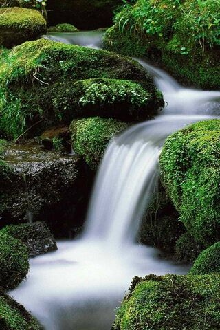 Serenity in Nature: The Enchanting Waterfall 🌿💧