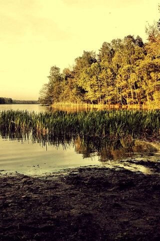 Serenity at Amazing Lake 🌅
