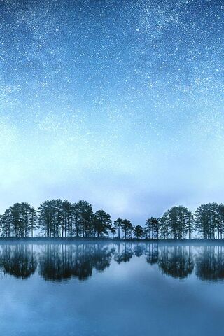 G Pad IV: A Serene Escape into Nature 🌌🌲