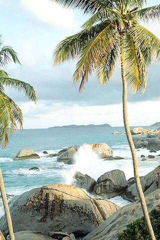 Tropical Serenity 🌴🌊