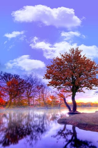 Lac: A Serene Autumn Reflection 🍂🌅