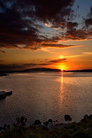 Golden Horizon: A Sunset to Remember 🌅✨