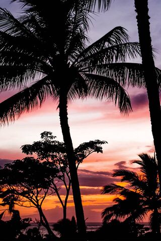 Miami Sunset Bliss 🌅🌴