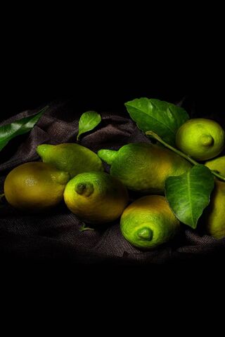 Zesty Delights: The Vibrant World of Lemons 🍋✨