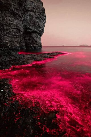 Mystical Shores: A Glim..