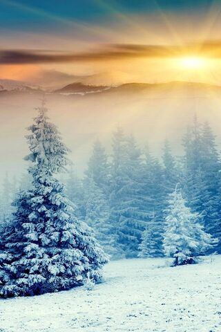 Whispers of Winter: A F..