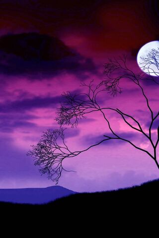 Whispers of Twilight 🌌🌙