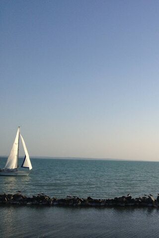 Sailing Serenity: A Day on the Water ⛵🌊