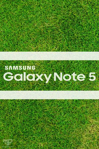 Galaxy Note 5 Grass